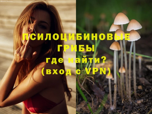а пвп мука Баксан