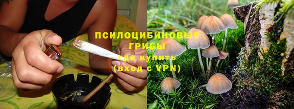а пвп мука Баксан