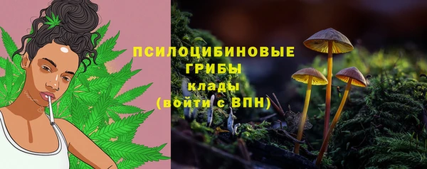 а пвп мука Баксан